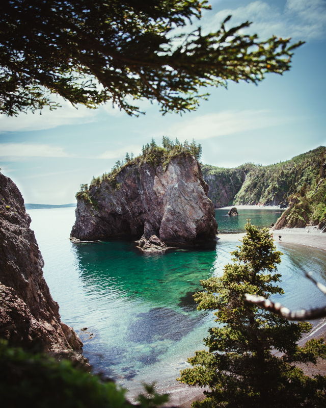 Summer in Chance Cove