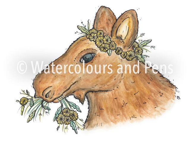 Flower Crown Moose