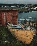 It Has Come Ashore