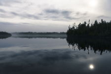 Misty Pondside Silhouettes