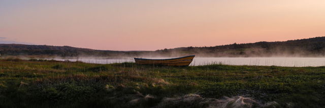 Misty Dory Wide