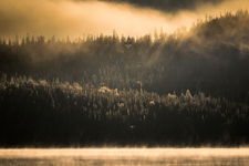Morning Mist...
