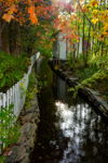 A River Runs Through It