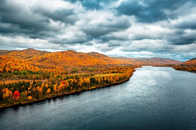 Fall Colors Along the Humber River