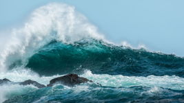 Green Sea Frapp...Extra Whip