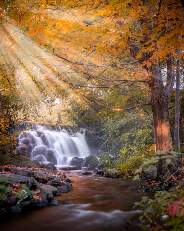 Bridgewater Bliss