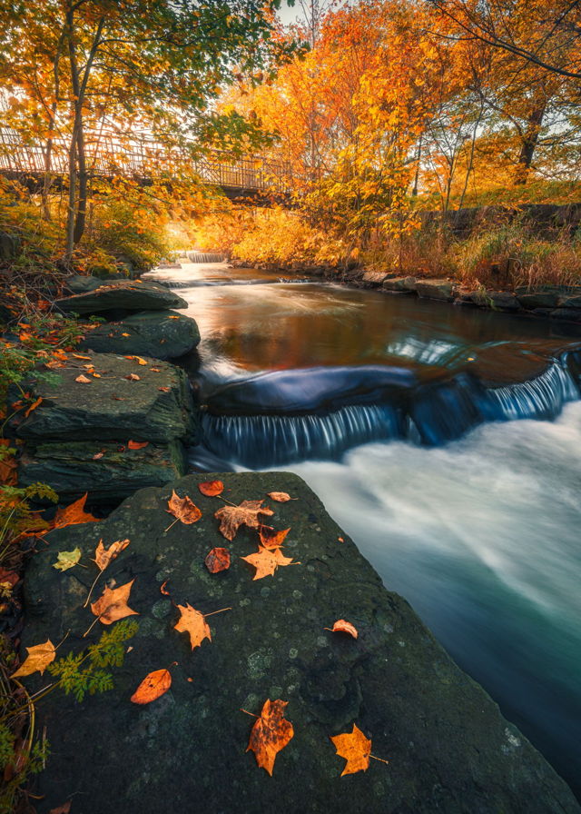 Autumn River at Bowring Park St. John's Newfoundland