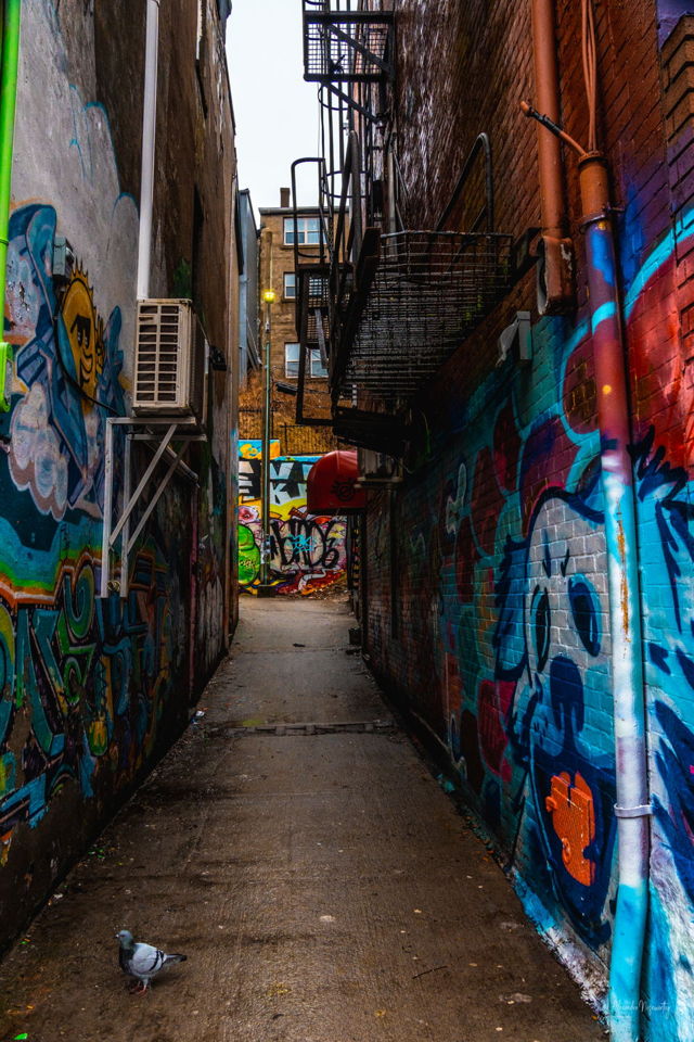 Down the Alley