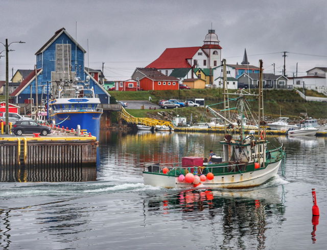 Bonavista Harbour