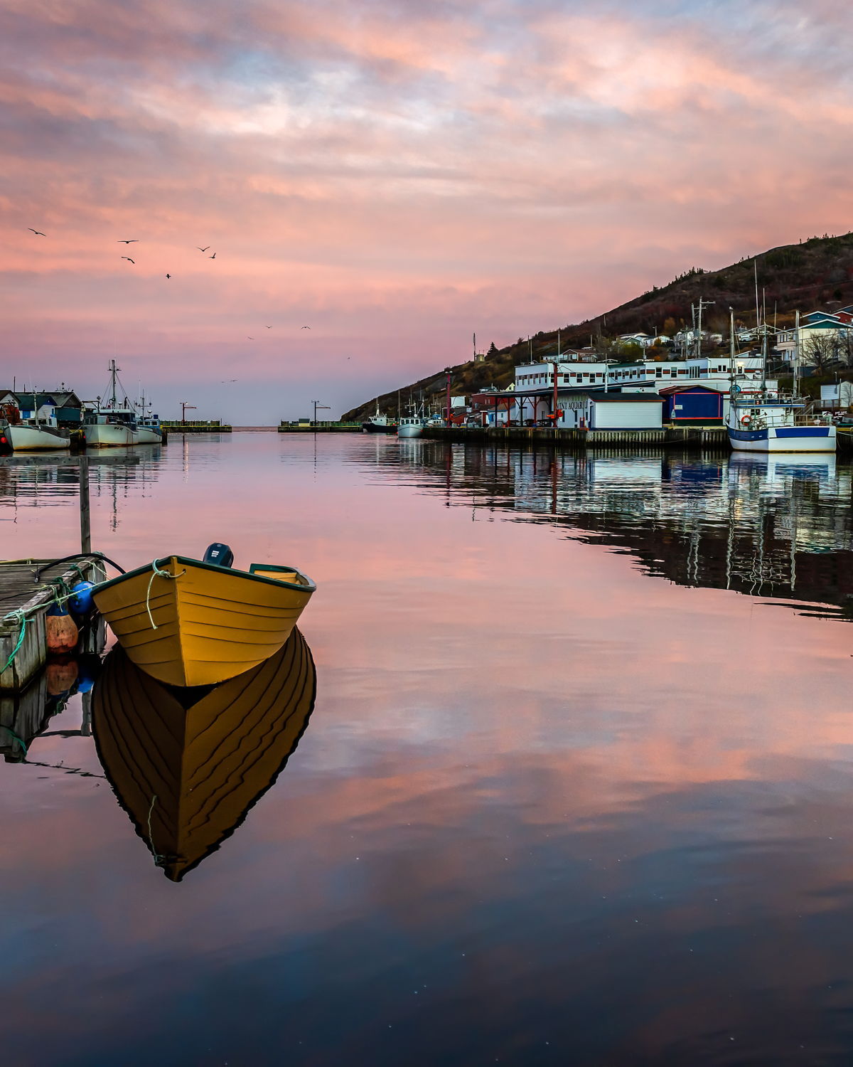 Petty Harbour Reflections Ray Mackey ARTfunnels