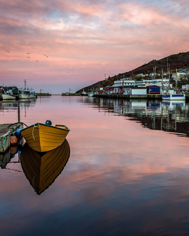 Petty Harbour Reflections