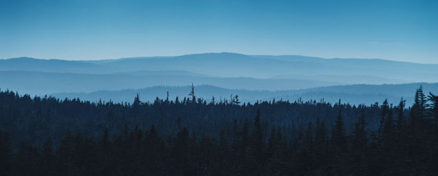 Shades of Blue