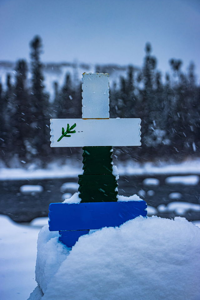 Labrador Snow