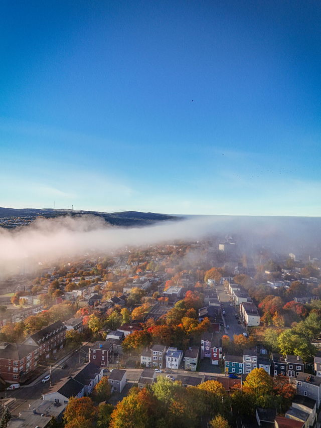 Autumn in the Fog