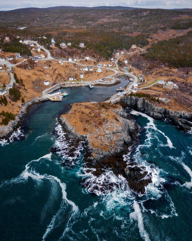 Brigus South