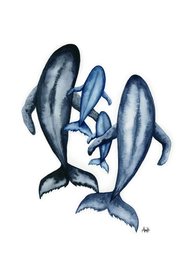 All Whales Together - Four Whale Pod