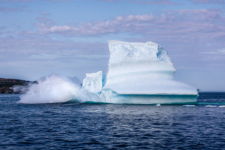 Iceberg Calving in Twillingate