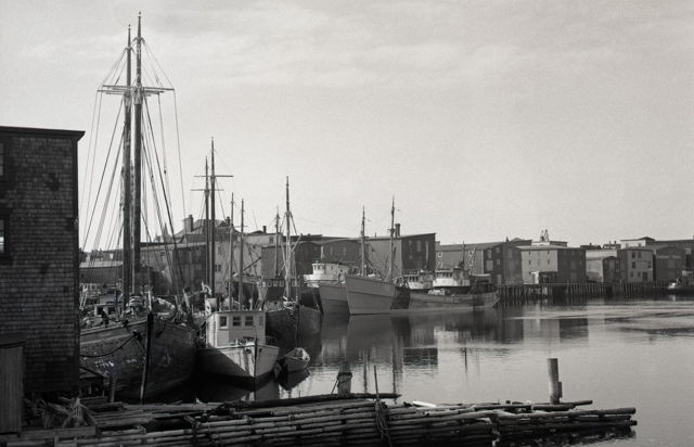 Grand Bank Harbour early 1950's