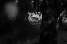 THE EMPTY BENCH - BOWRING PARK