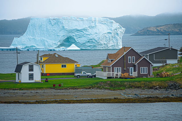 The Iceberg That Came Home