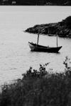 Burin Punt