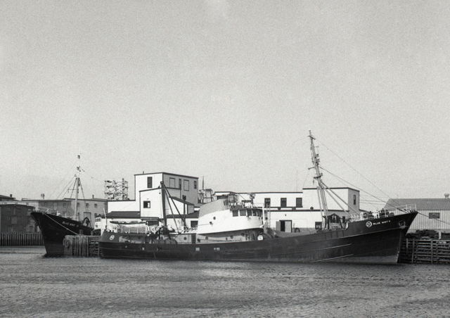 Bonavista Cold Storage Co. side trawlers Blue Wave and Blue Mist