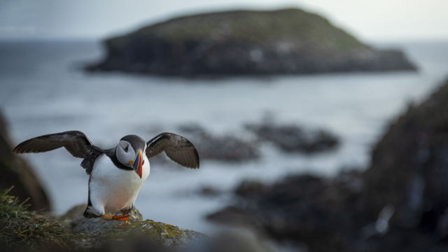 Dancing On The Edge