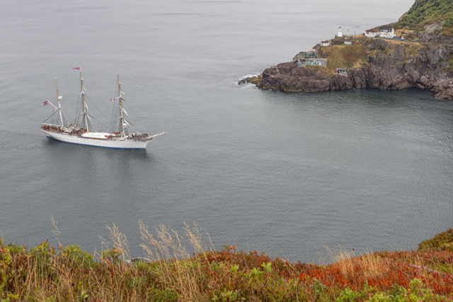 Entering the Harbour