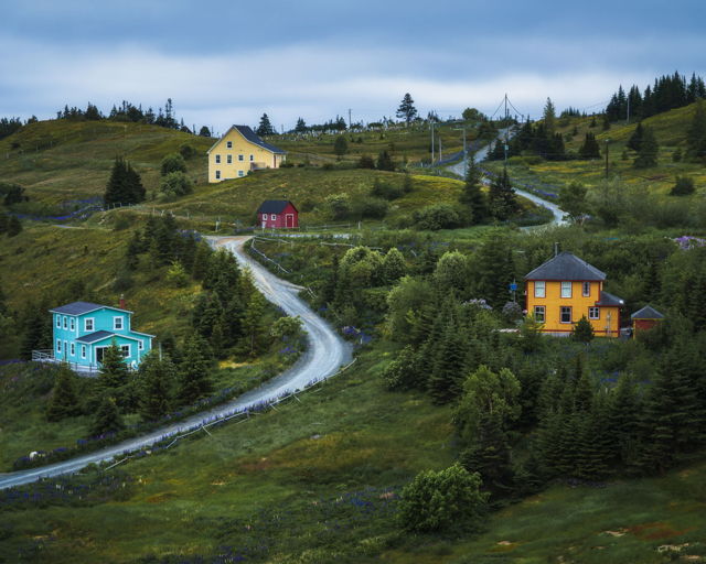 Colourful Houses Along the Road, Port Rexton