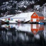 Quidi Vidi Colors