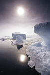 Sea ice