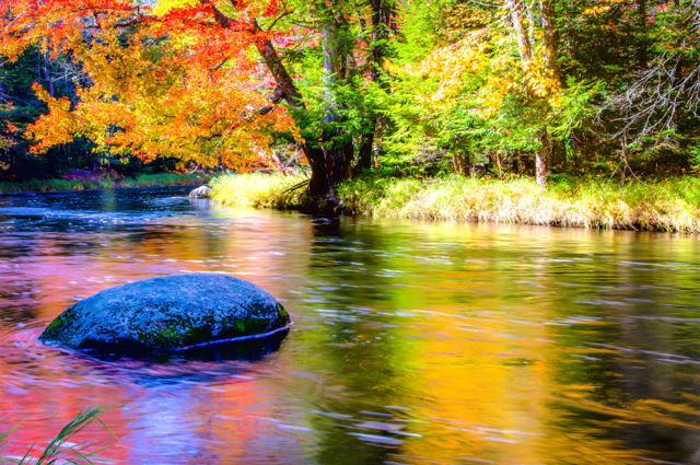 Mersey River in Autumn