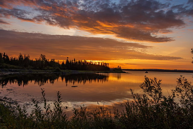 Colors in the Cove