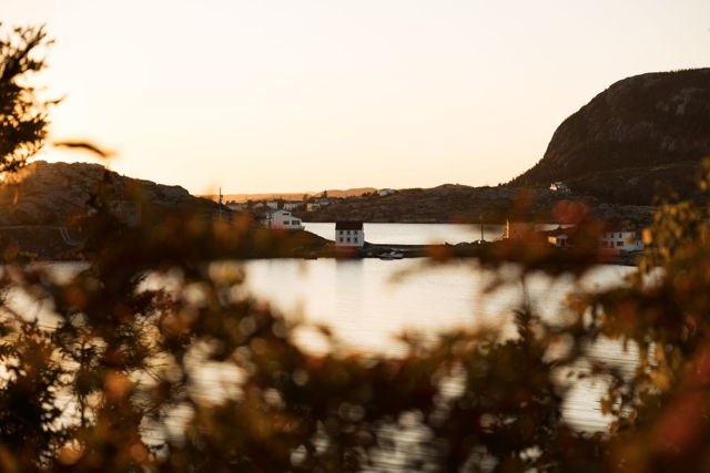 Salvage in Autumn