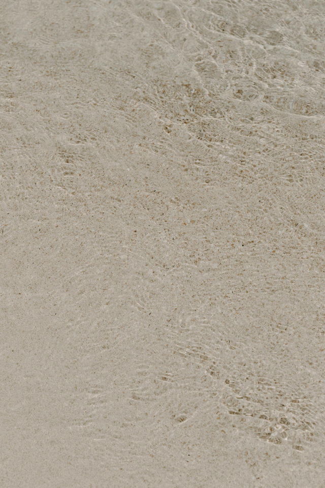 Ocean Shore V