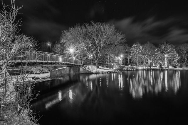 Calm Winter Night, Bowring Park