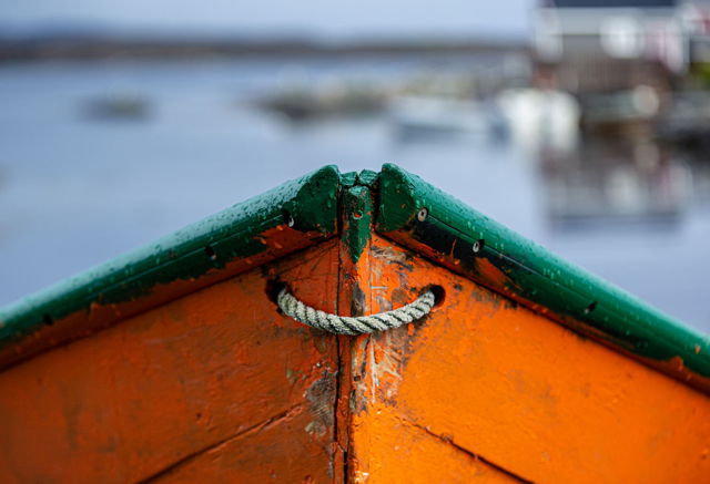 Lark Harbour Dory Smiles
