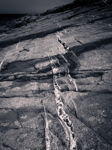 Dilational Space