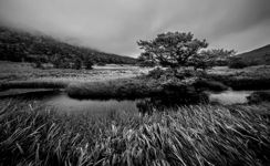 Slow Flow