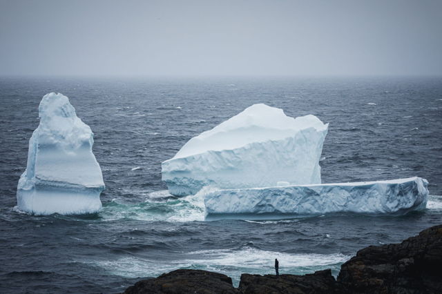 Alongside Giants