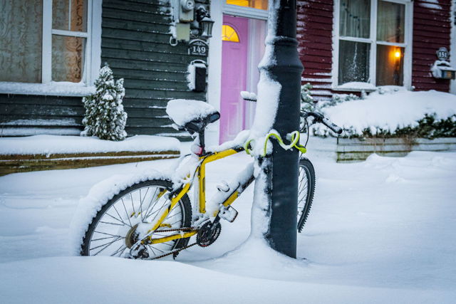 Snowed in on Gower