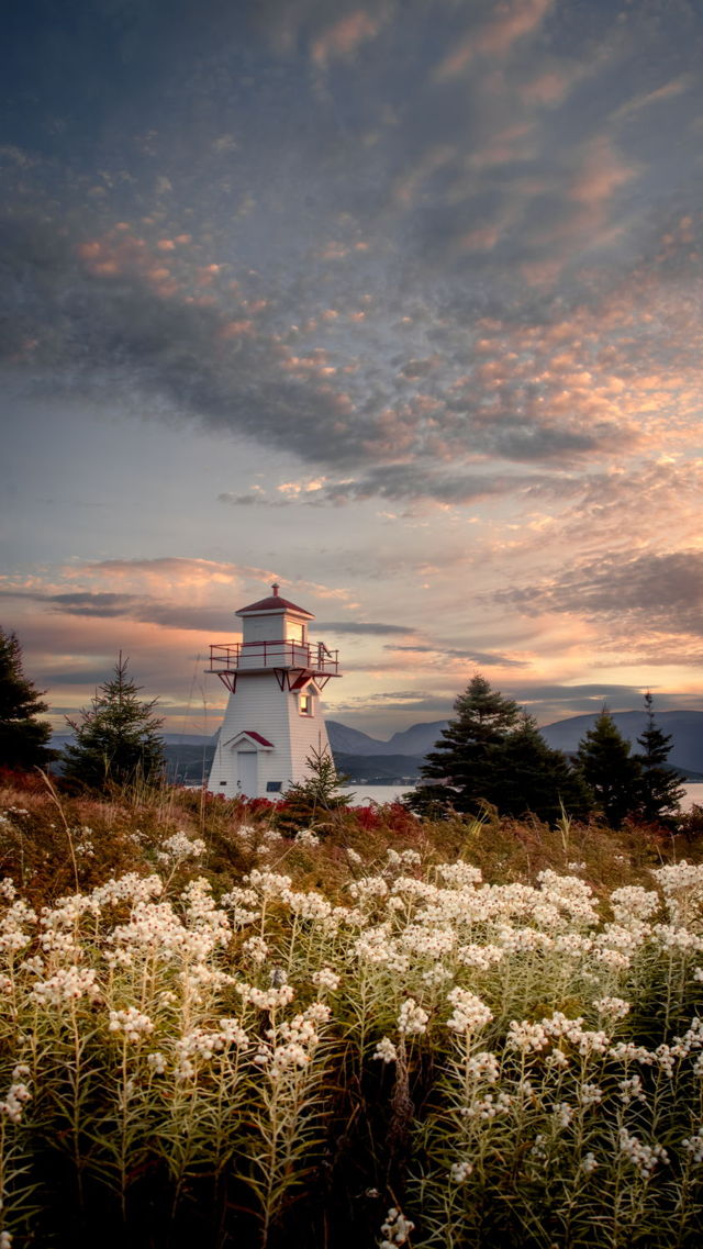 The Lighthouse in Bloom