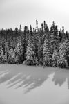 Winter shadows