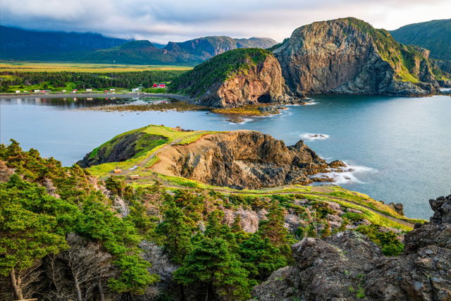 Bottle Cove No. 2