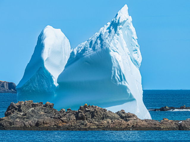 Mesmerizing Iceberg Views at Salt Harbour Herring Neck