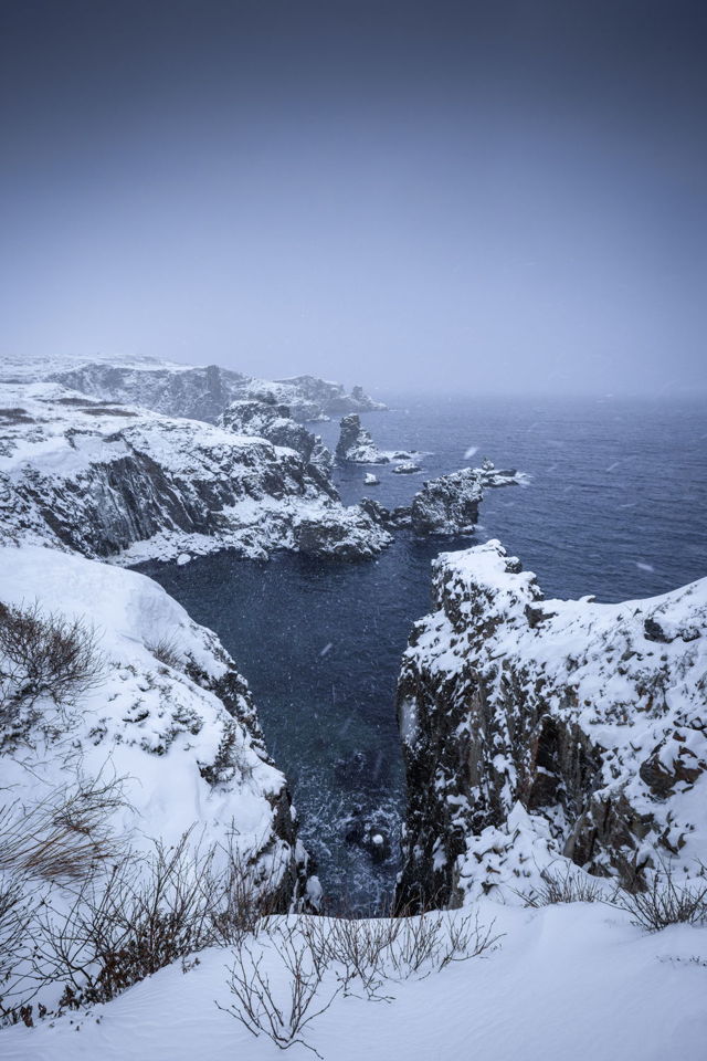 Ice Covered Cliffs Of Newfoundland