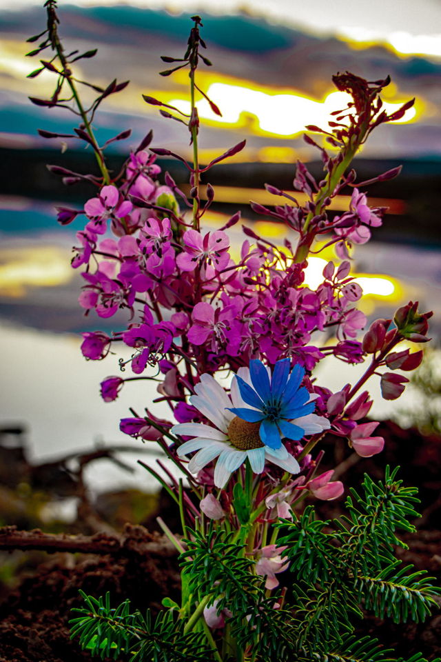 Bouquet of Sunset Color