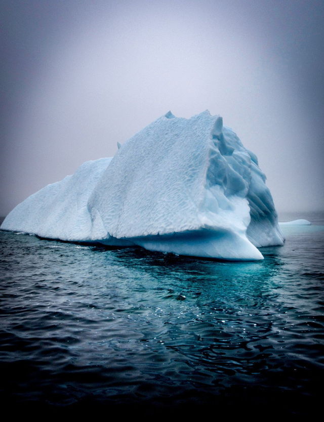 Frozen