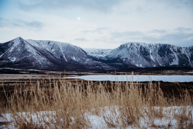 Blue and Gold Mountains - Horizontal