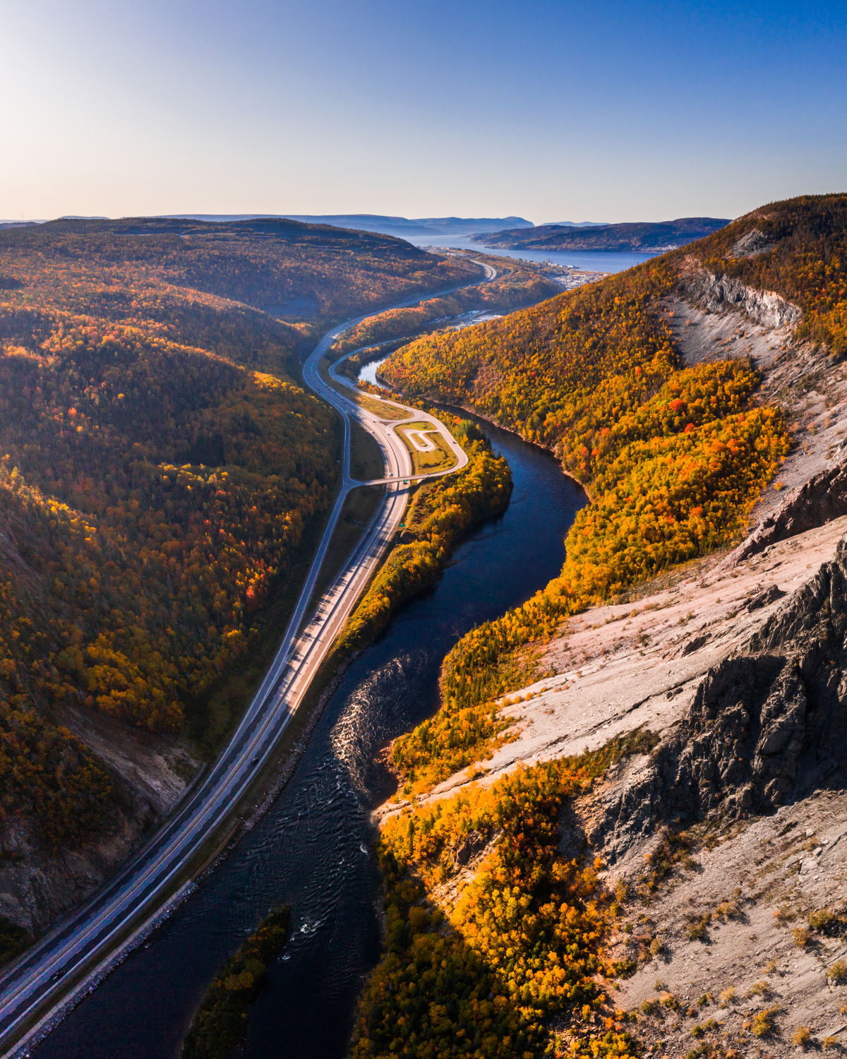 Road through Humber Valley in the Fall | Tom Cochrane | MARKET